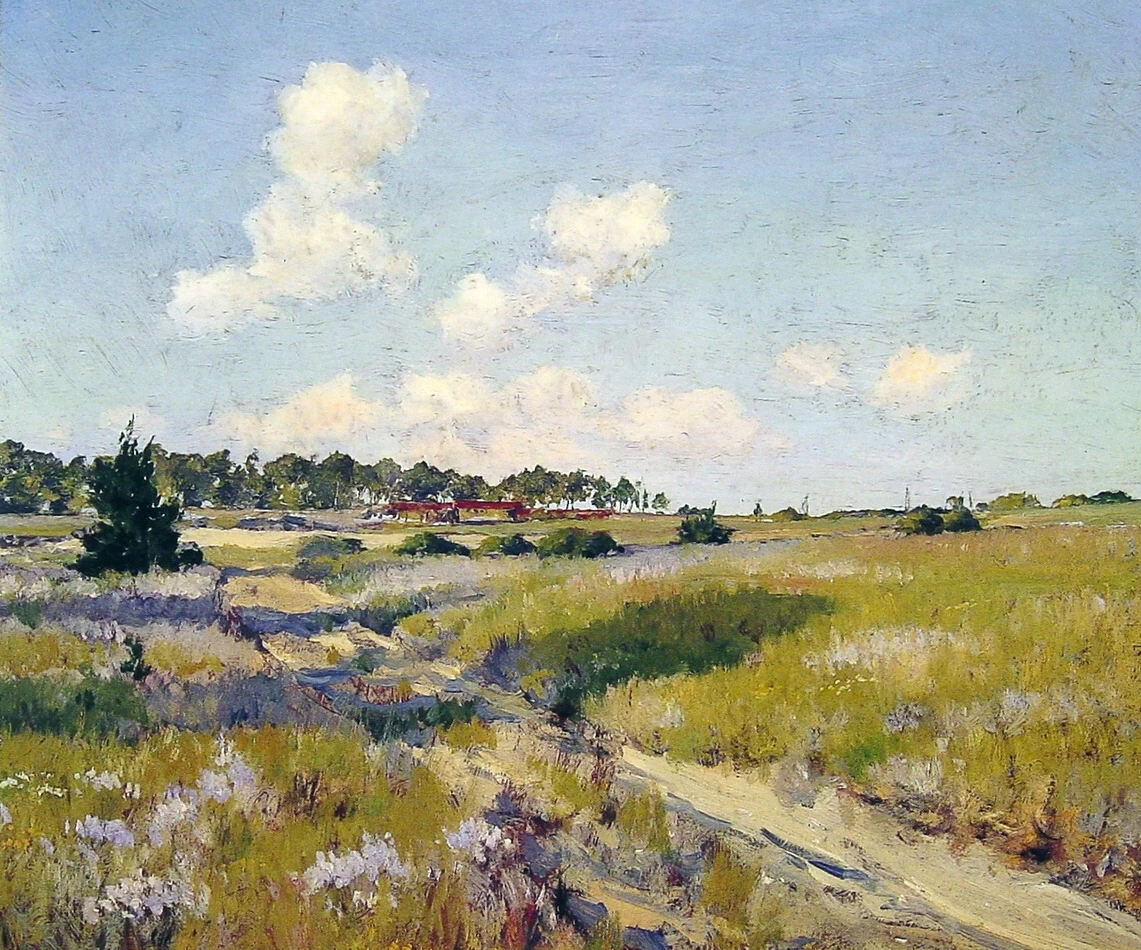 Ombre del pomeriggio